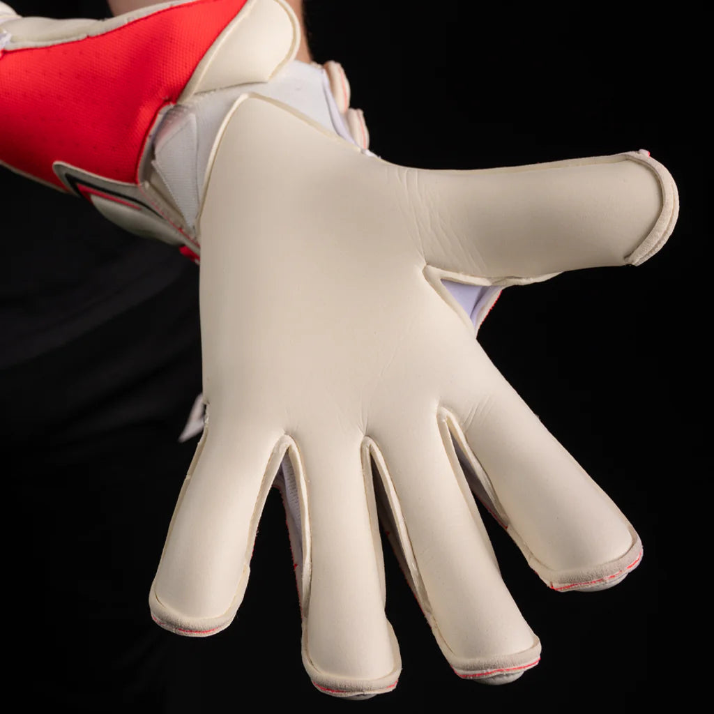 NXT Pro Doubters HYL