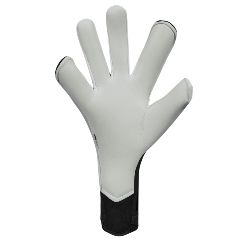 NITROLITE XJH V2